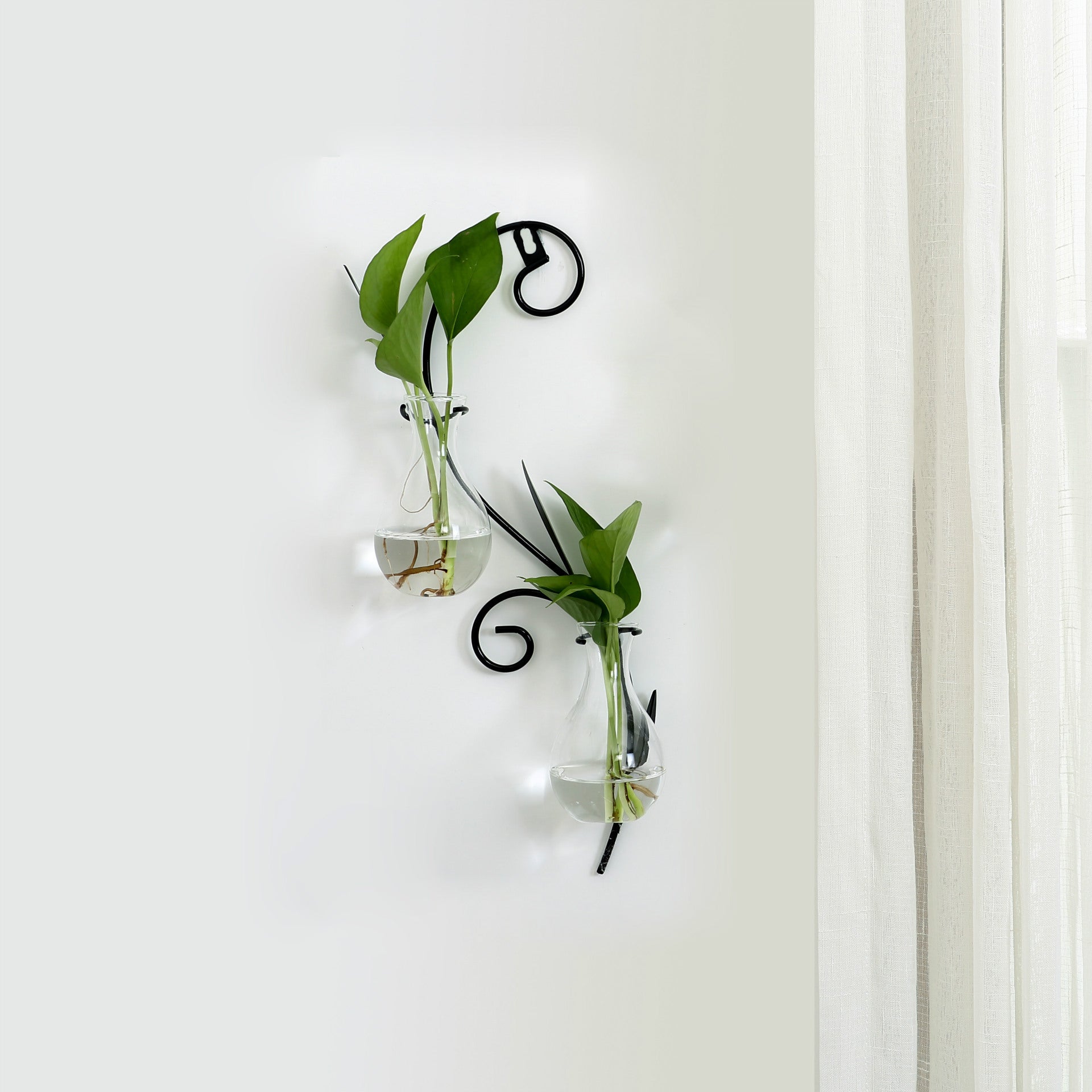 Transparent glass vase