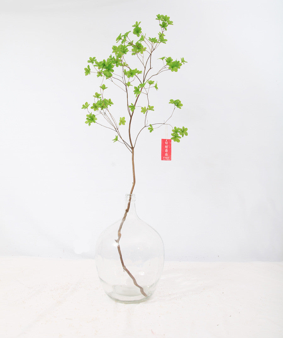 Japanese Bell Horse Drunk Wood Nantian Bamboo Nordic Style Simple Thin Mouth Big Belly Bottle Vase Transparent Indoor Flower Arranging Device