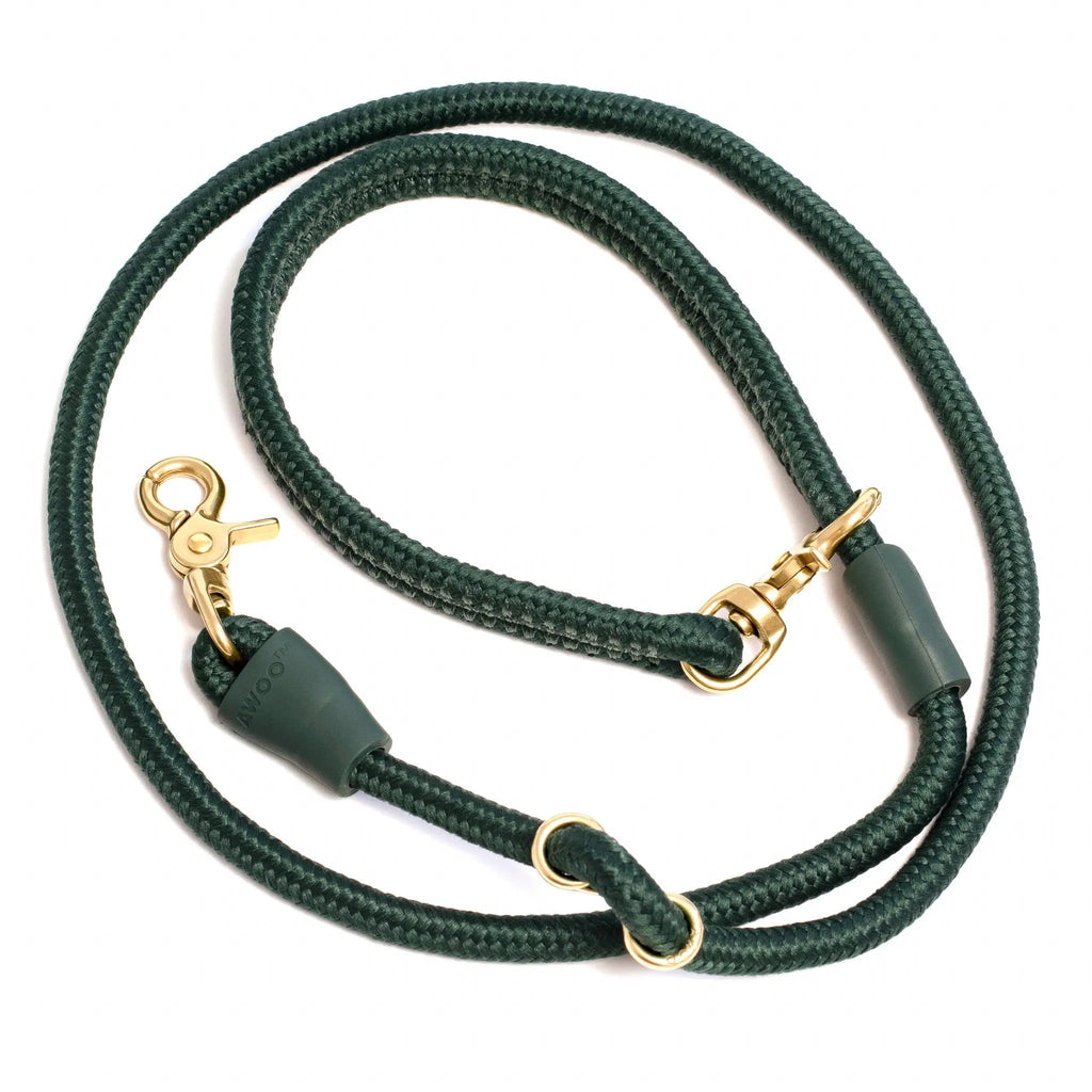 City Leash