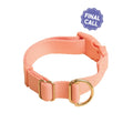 Pack Collar - Last Chance