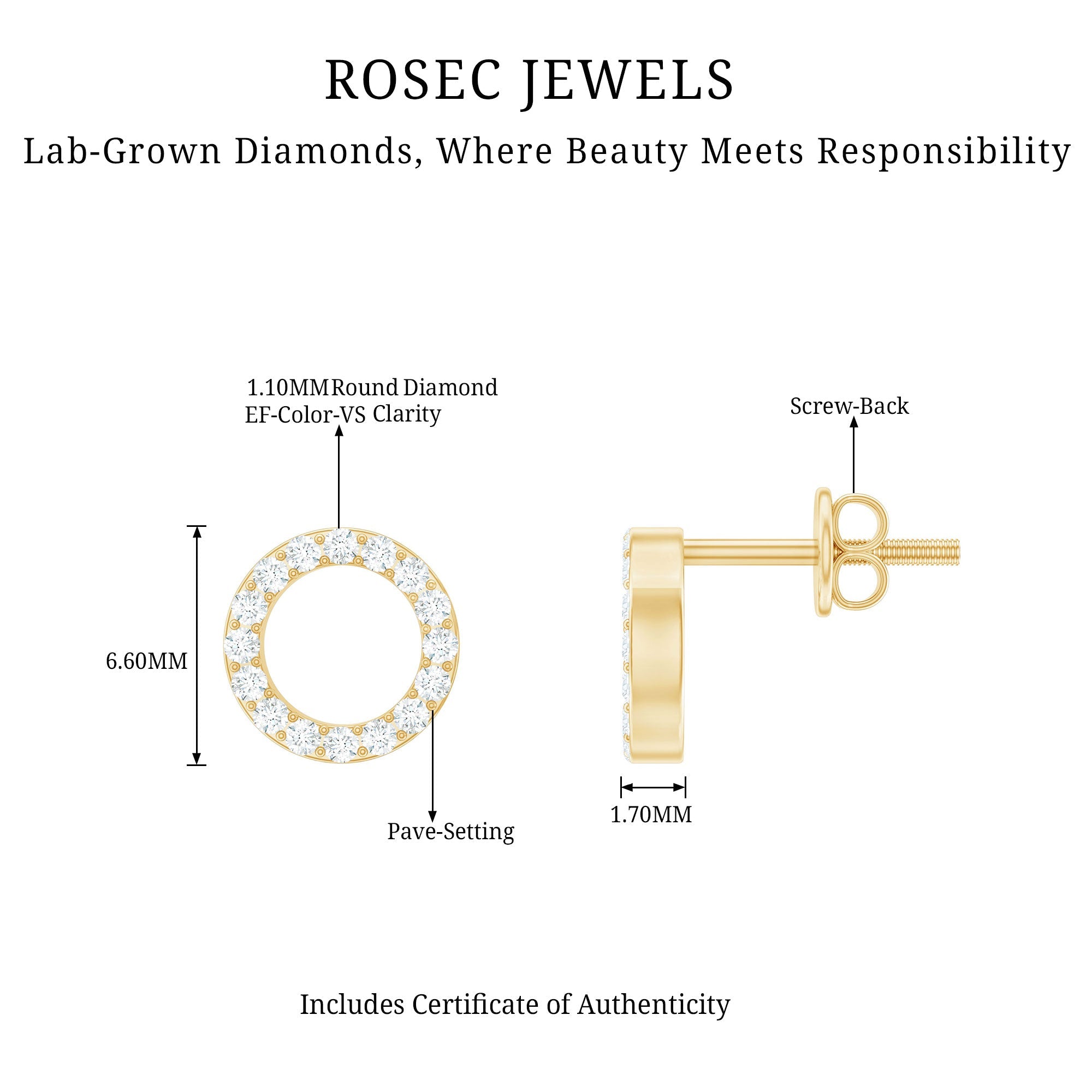 Lab Grown Diamond Circle Stud Earrings With Screw Back