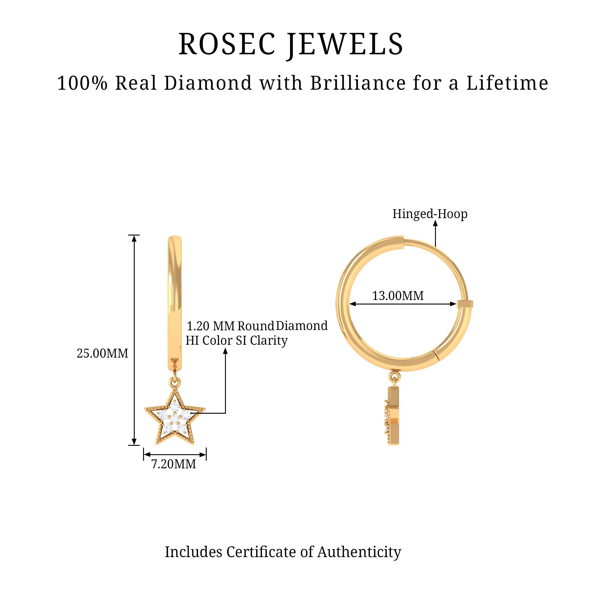 Diamond Star Drop Hoop Earrings