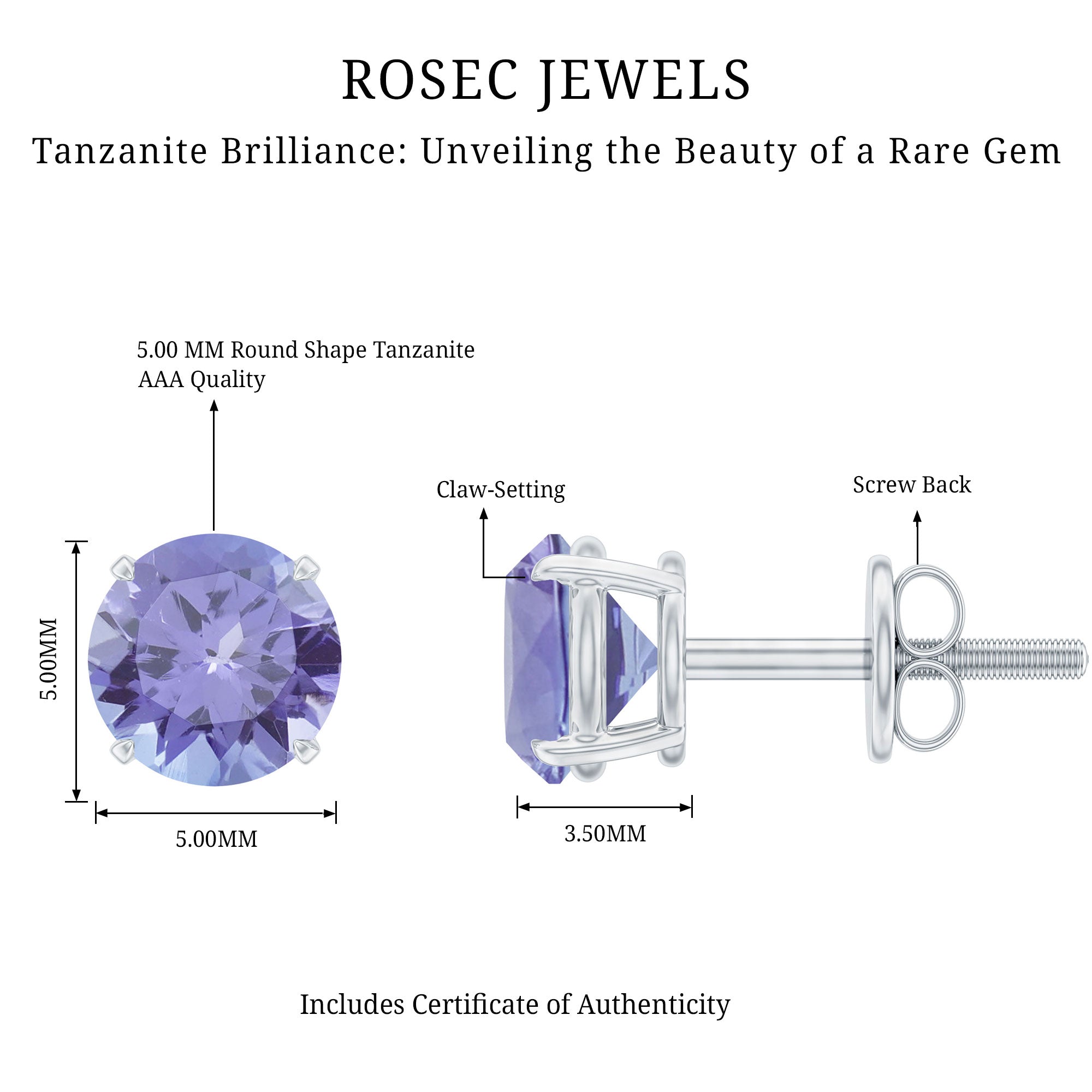 1 Carat Round Cut Tanzanite Stud Earrings for Women
