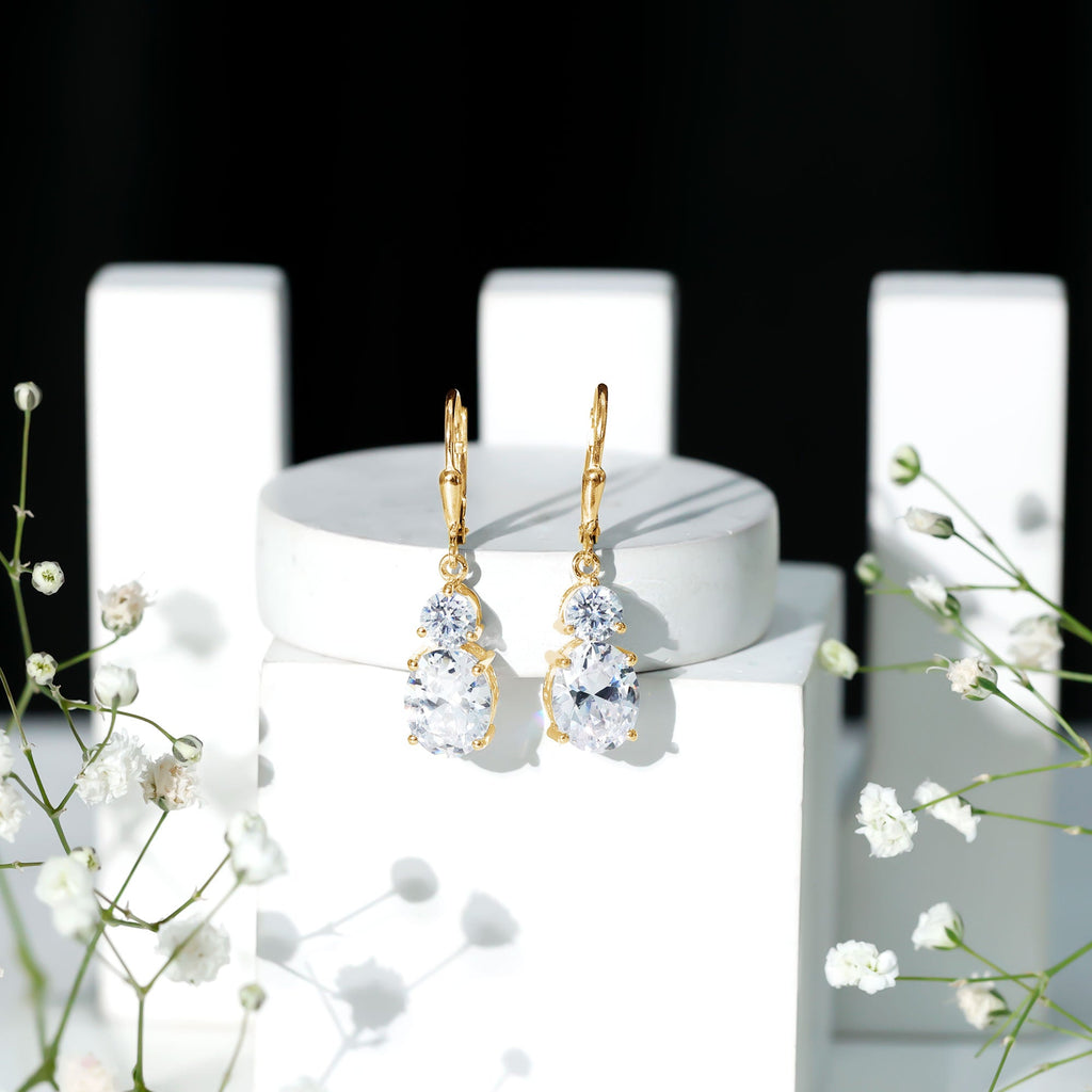 Minimal Zircon 2 Stone Drop Earrings with Lever Back