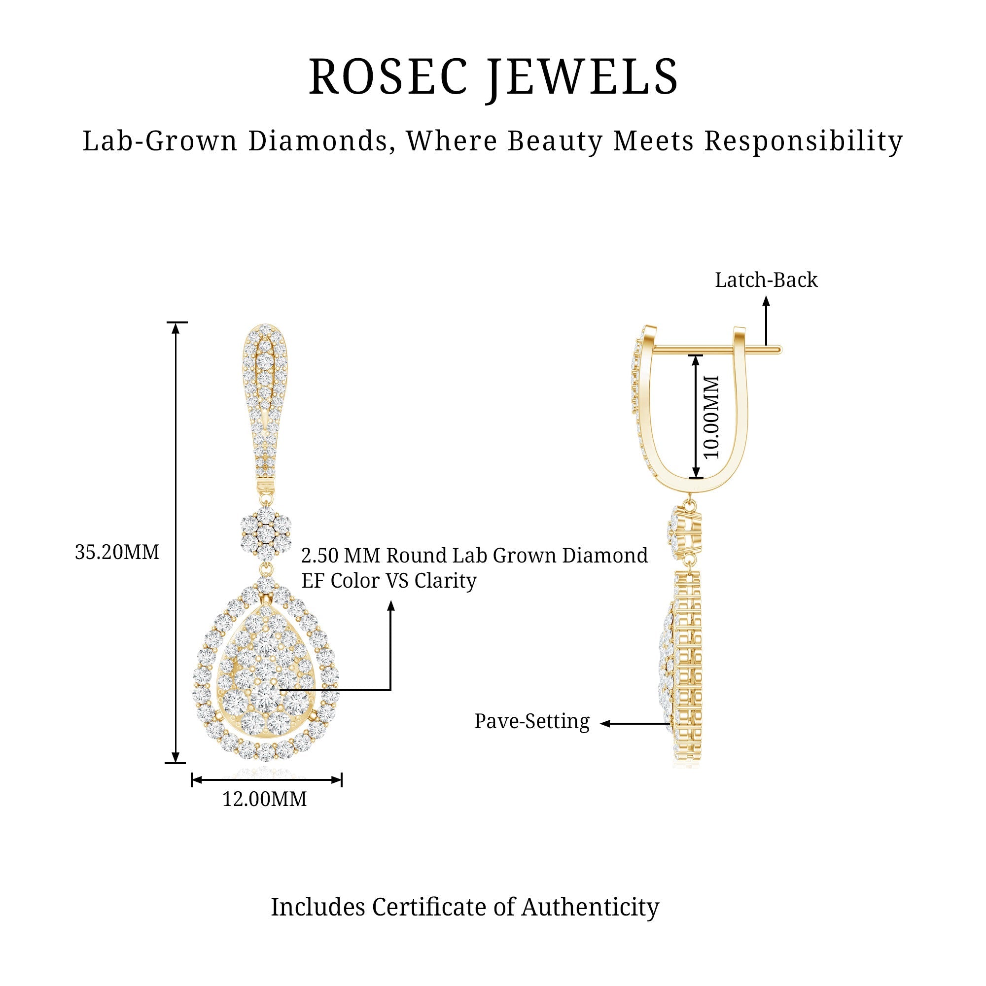 Lab Grown Diamond Bridal Drop Earrings