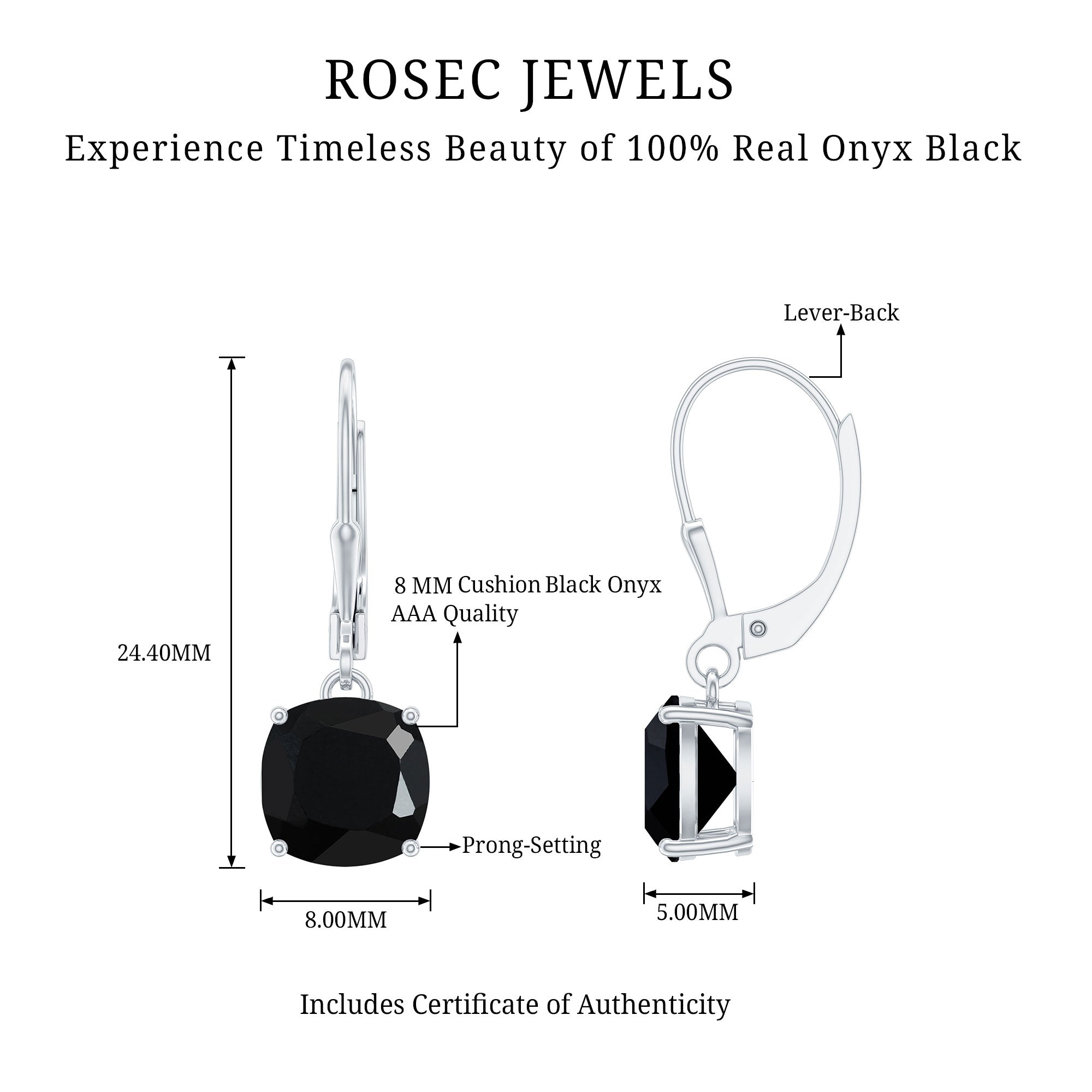 Black Onyx Solitaire Drop Lever Back Earrings