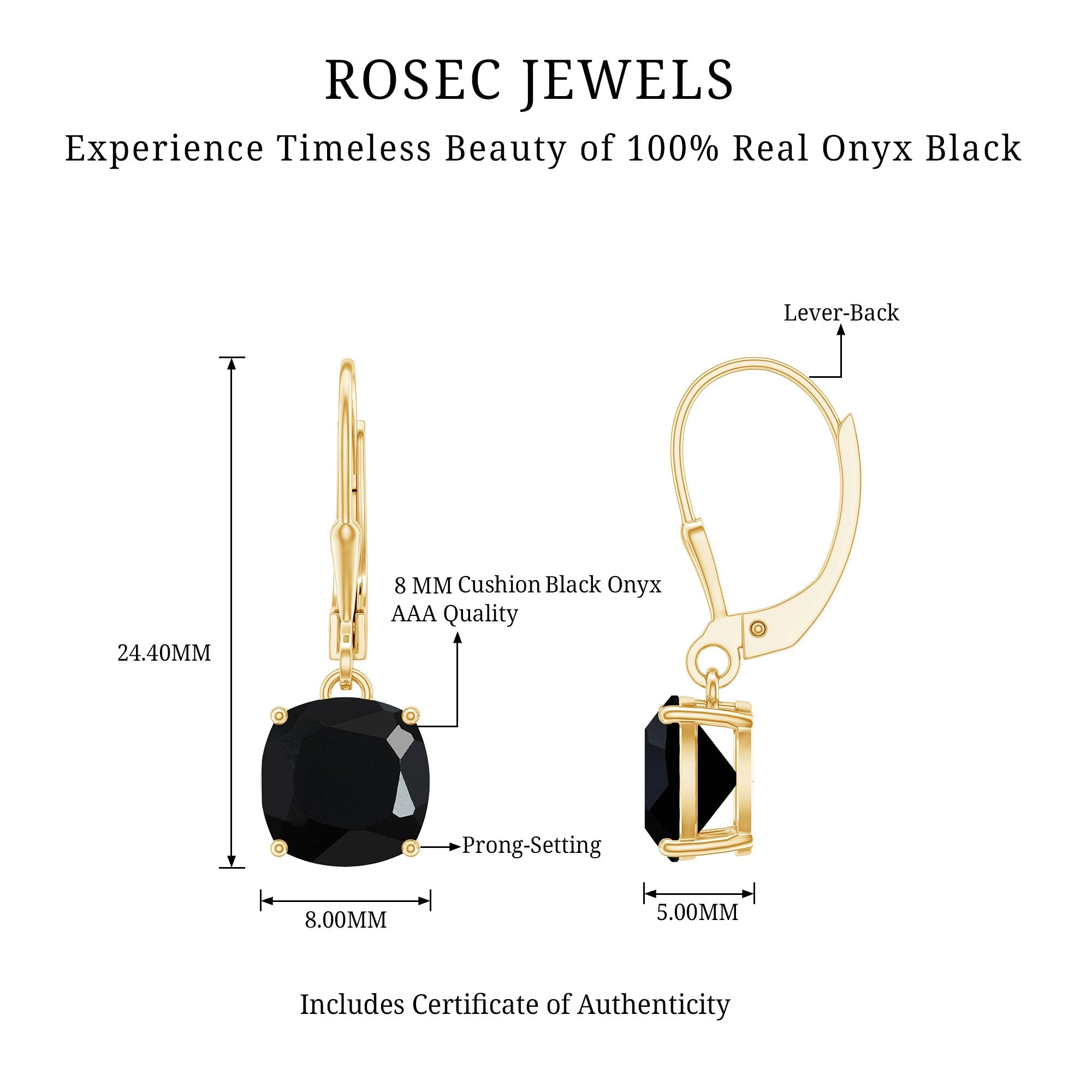 Black Onyx Solitaire Drop Lever Back Earrings