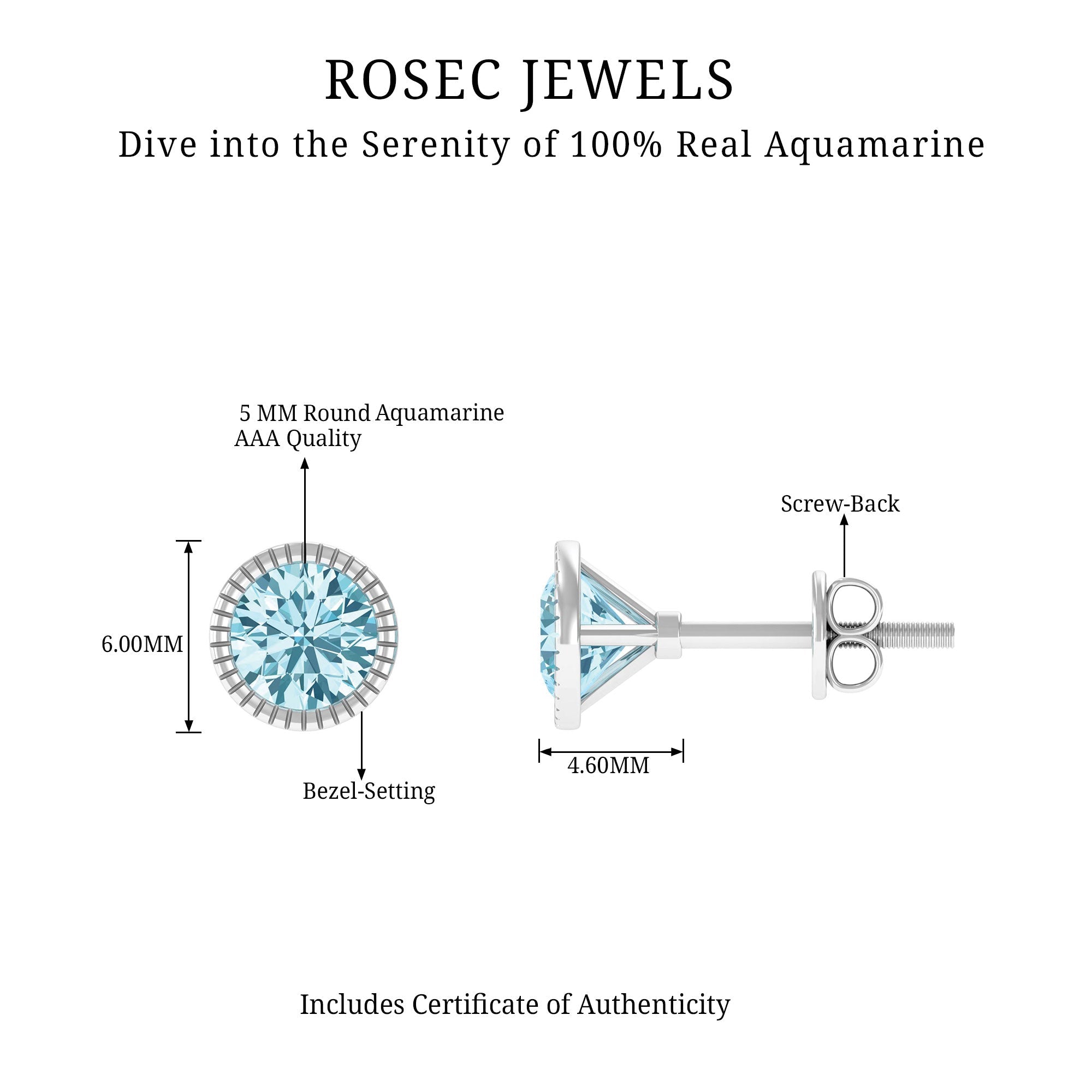 1.5 Carat Round Cut Aquamarine Martini Stud Earring