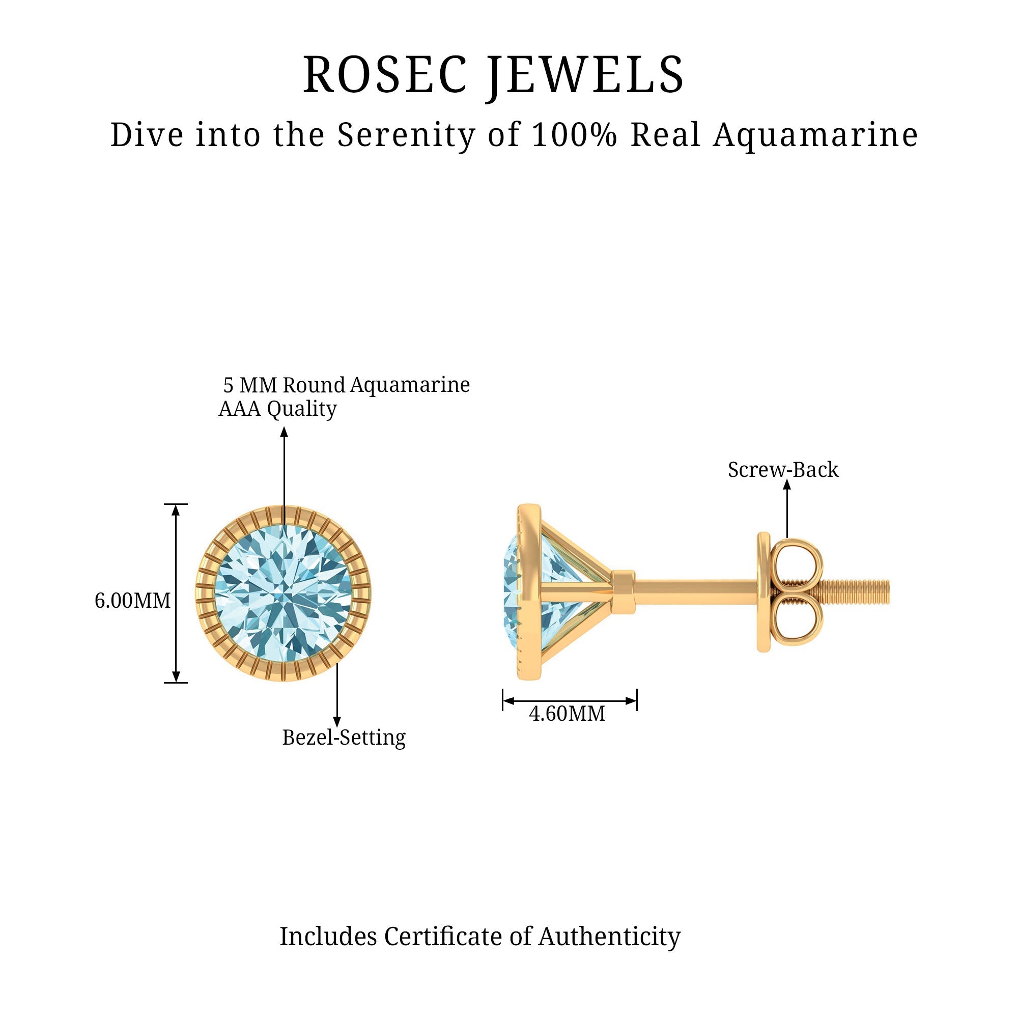 1.5 Carat Round Cut Aquamarine Martini Stud Earring