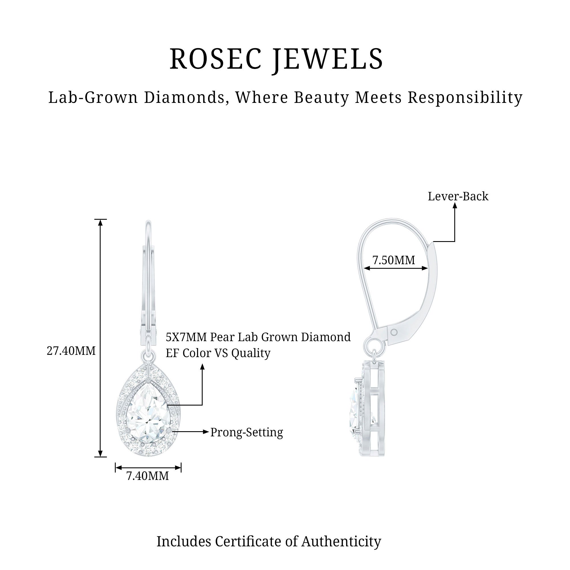 Lab Grown Diamond Drop Dangle Earrings With Lever Back