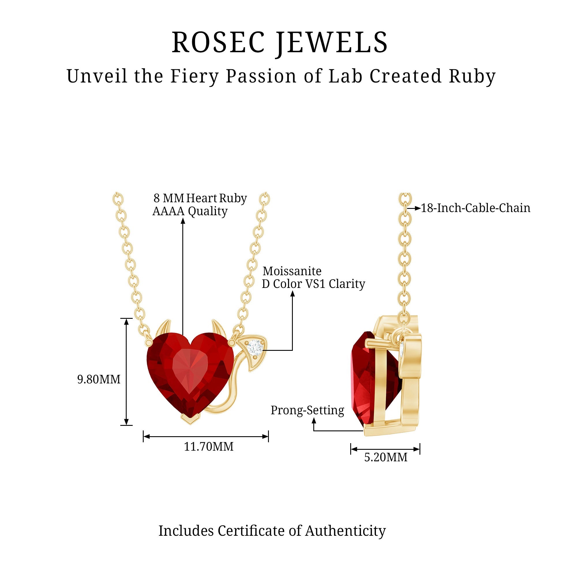 Lab Grown Ruby Devil Heart Necklace with Chain