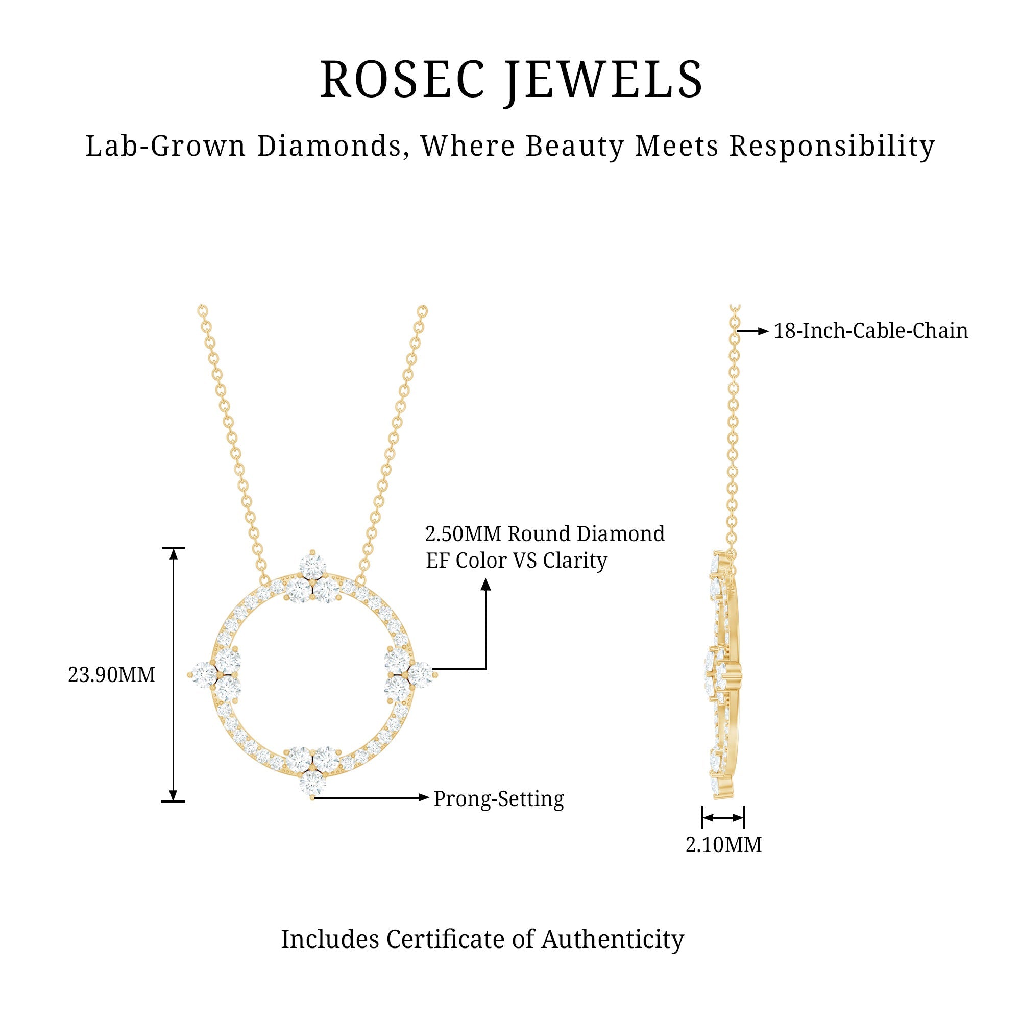 Certified Lab Grown Diamond Circle of Life Necklace