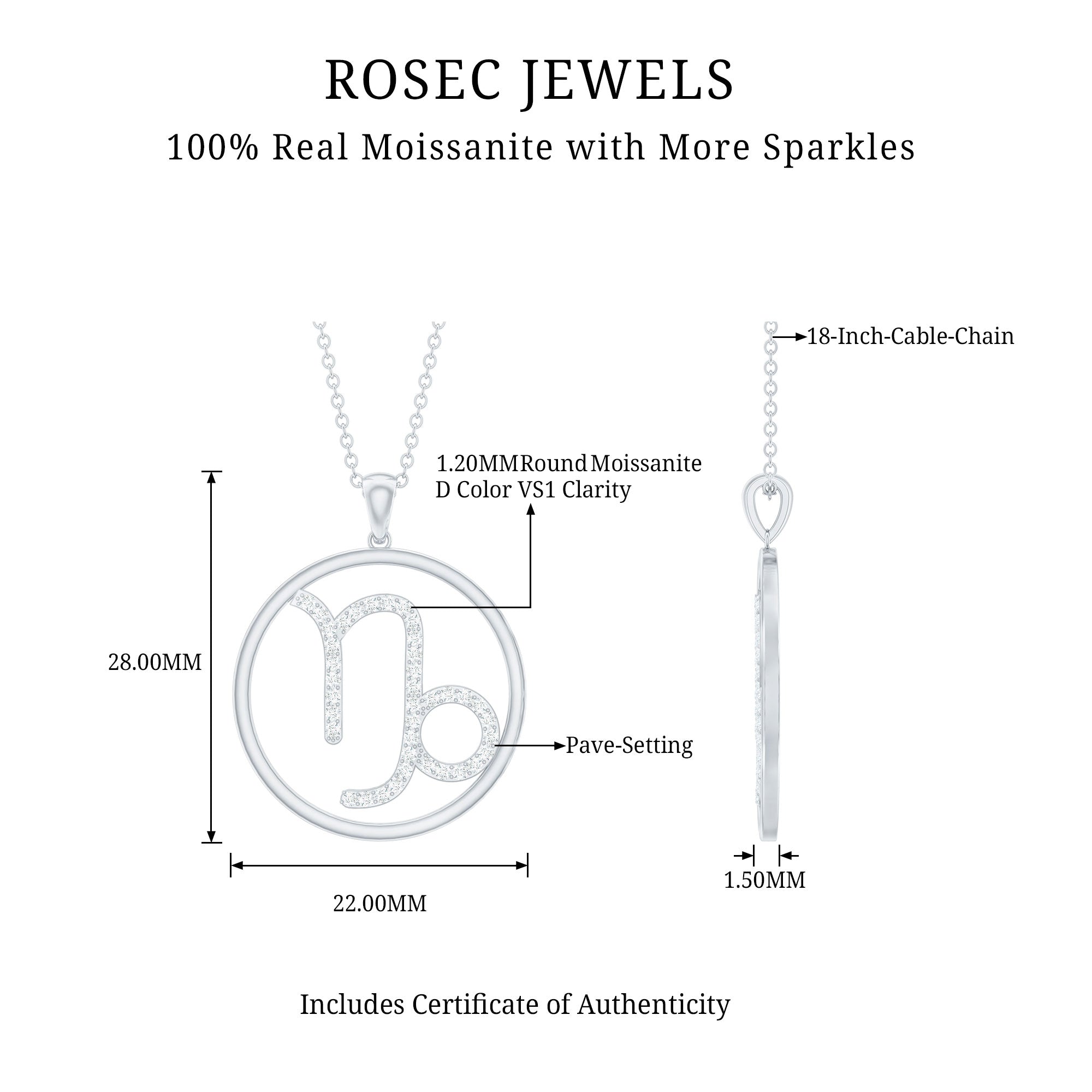 Certified Moissanite Capricorn Zodiac Necklace