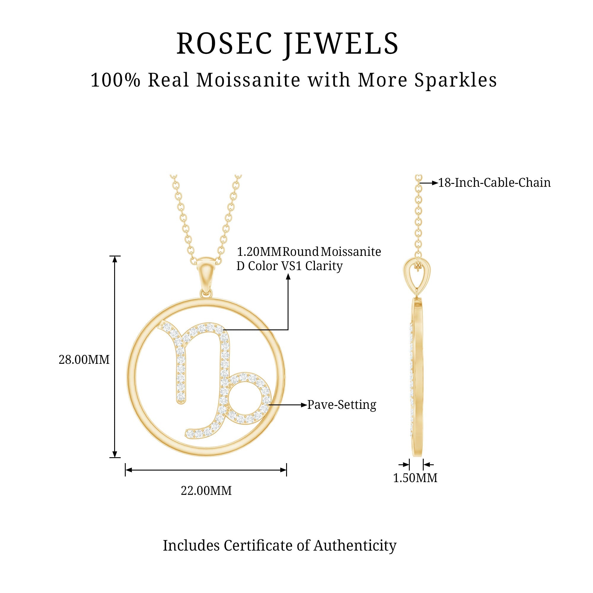 Certified Moissanite Capricorn Zodiac Necklace