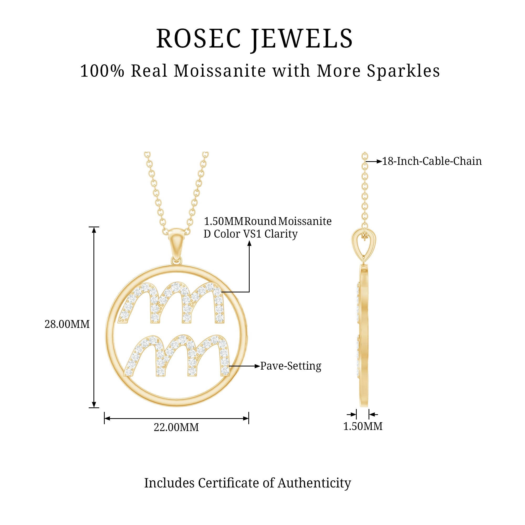Certified Moissanite Zodiac Aquarius Pendant Necklace