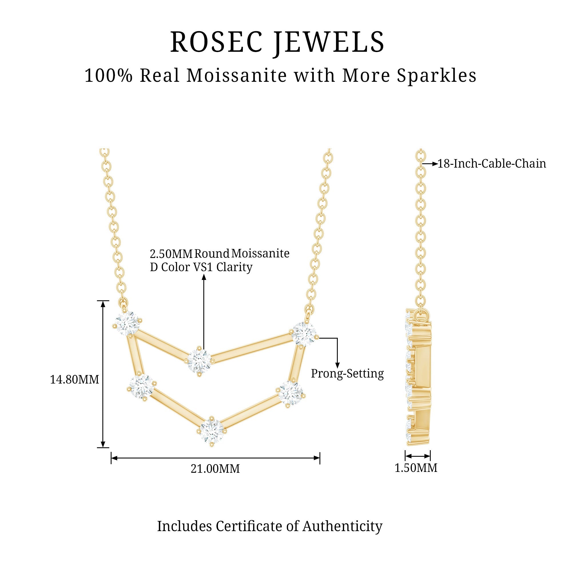 Certified Moissanite Capricorn Constellation Necklace
