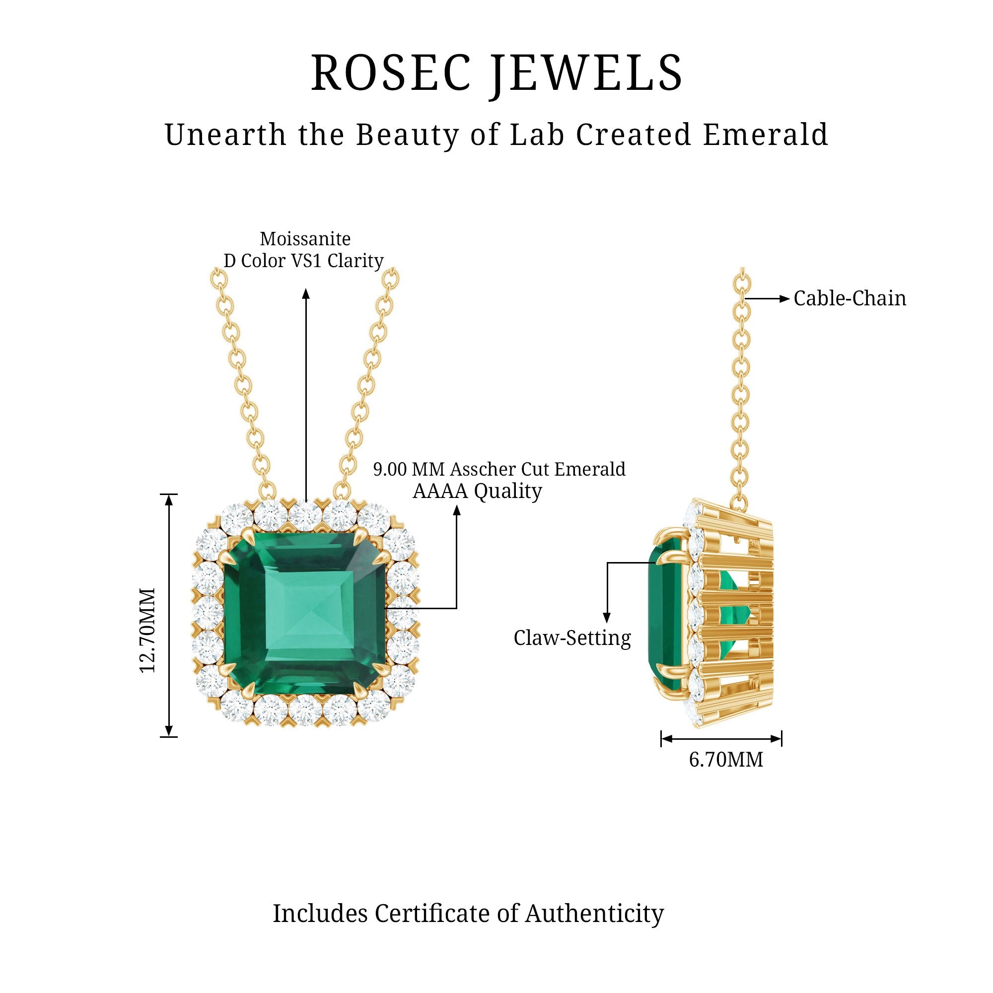 2.5 CT Asscher Cut Lab Grown Emerald Halo Necklace with Moissanite