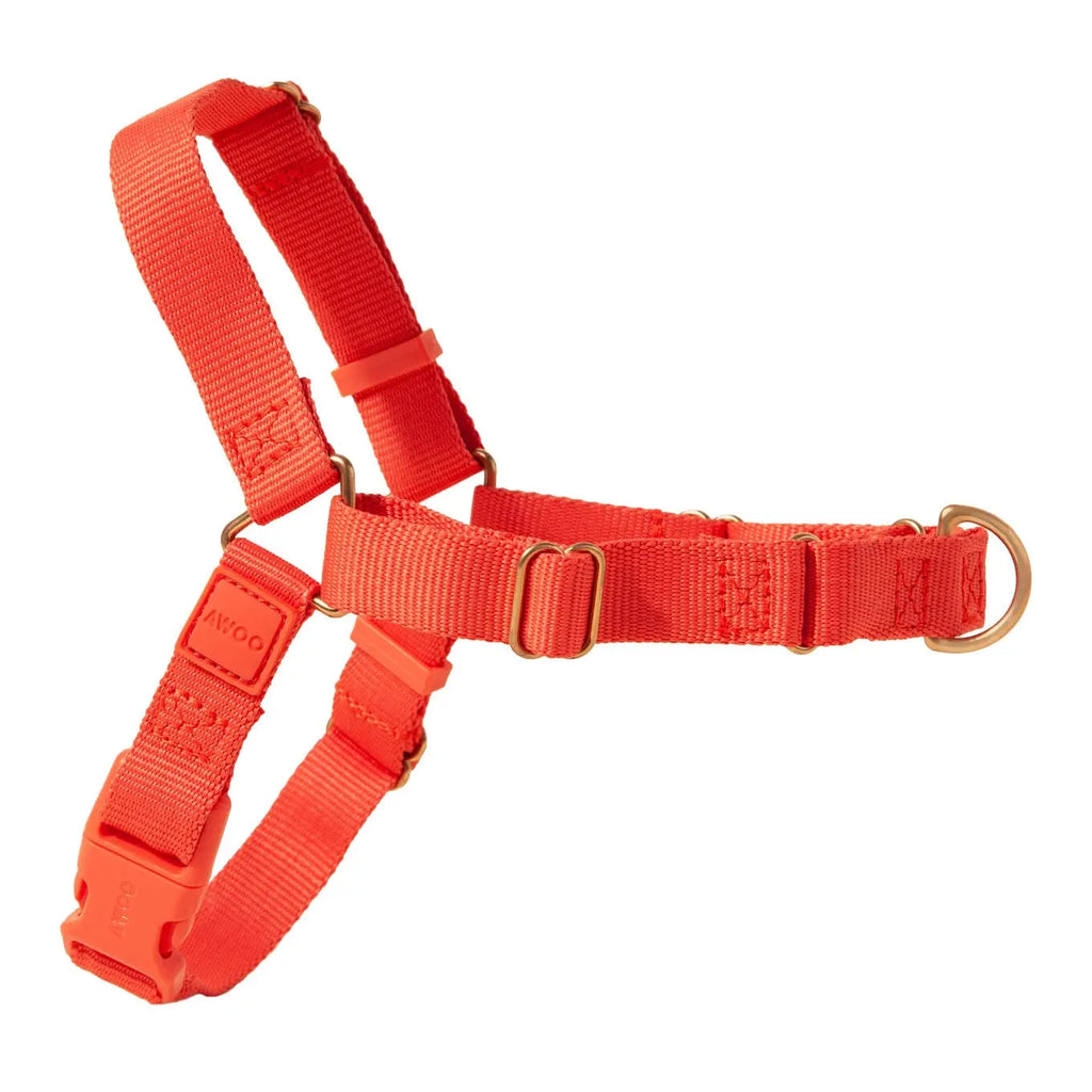 Roam Harness - Last Chance