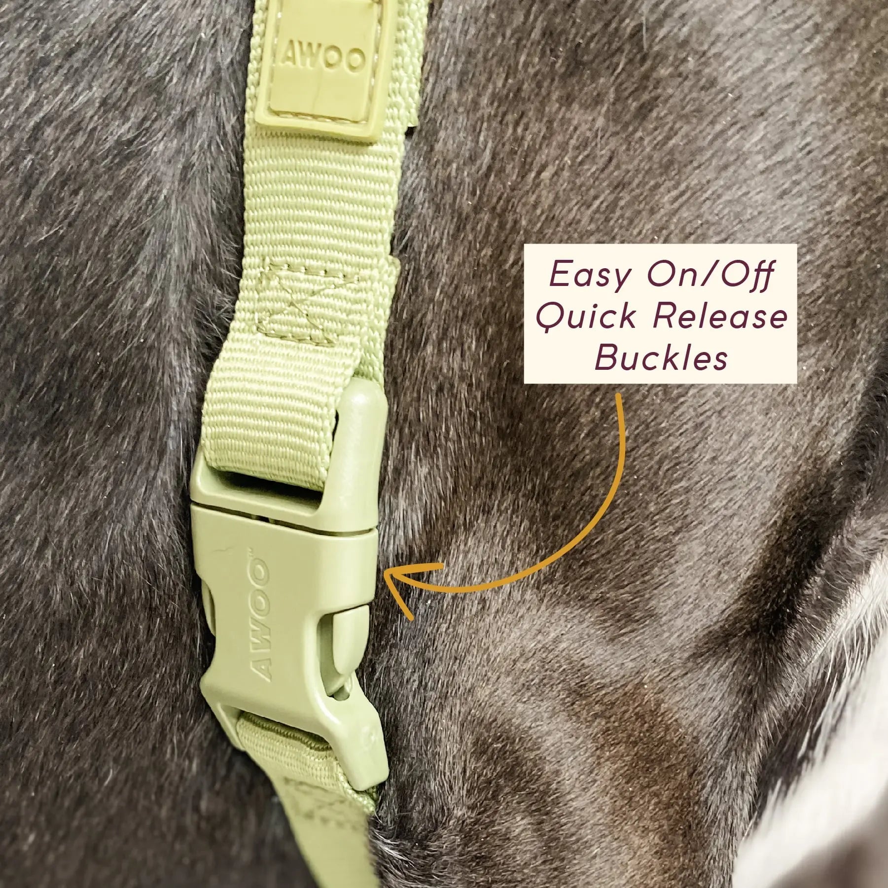 Roam Harness - Last Chance