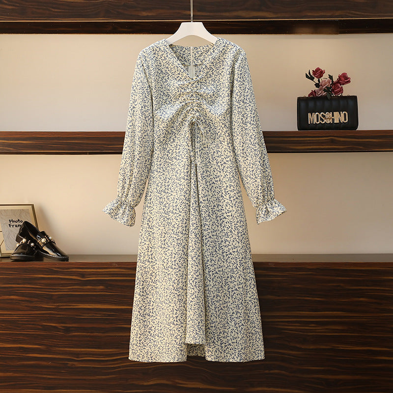 Fairy Girl Mori Style Floral Girlfriends Plus Size Dress Women